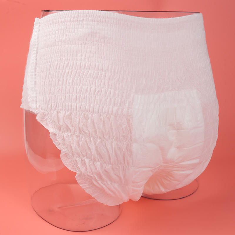 Menstrual Panties 6